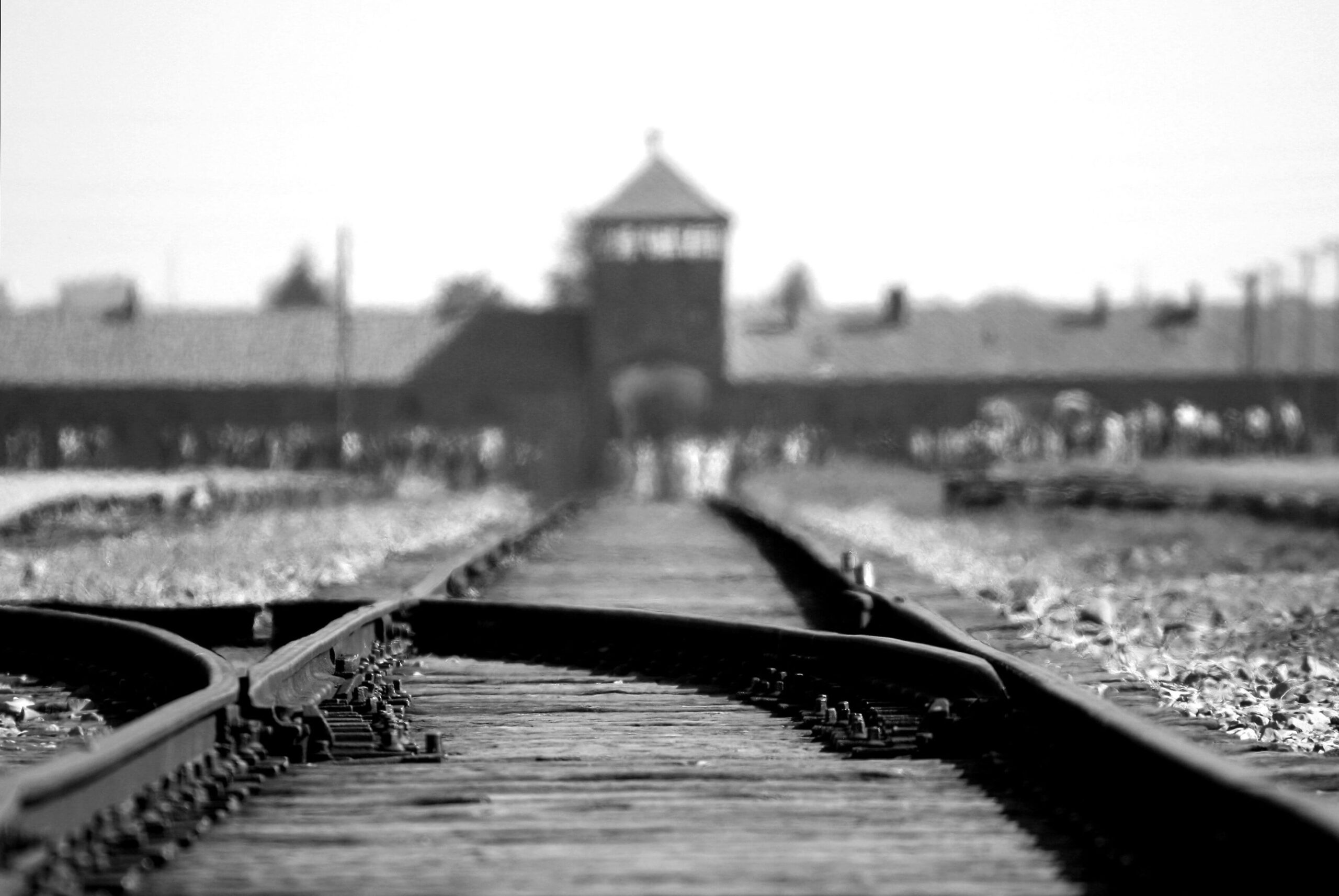 Auschwitz-Birkenau Railway tracks